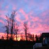 Ranch sunrise